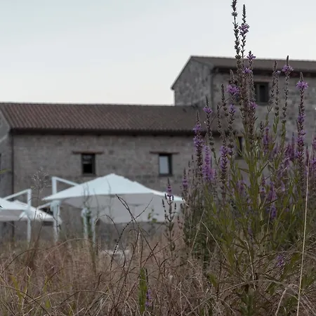 Farmház I Cacciagalli Wine Teano