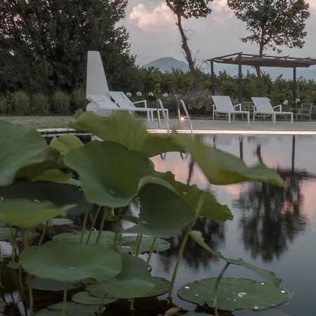 Farm stay I Cacciagalli Wine *