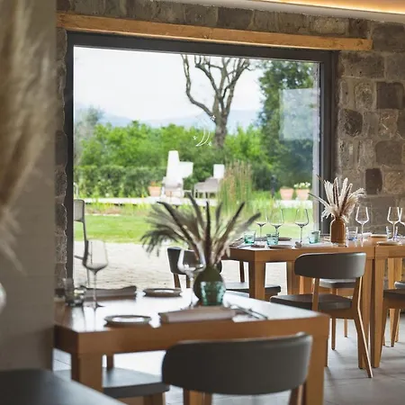 I Cacciagalli Wine * Teano