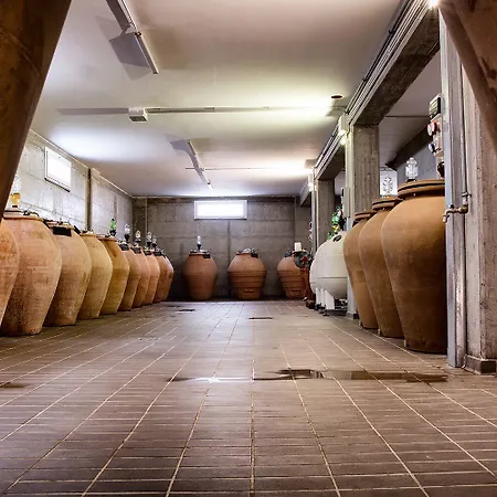 I Cacciagalli Wine Çiftlik konaklama Teano
