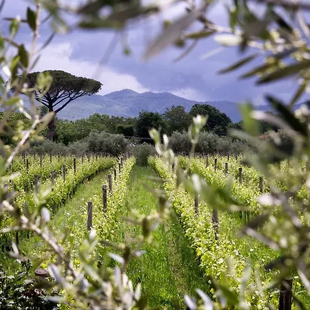 I Cacciagalli Wine Teano