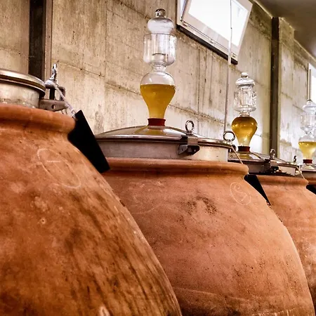 I Cacciagalli Wine Teano