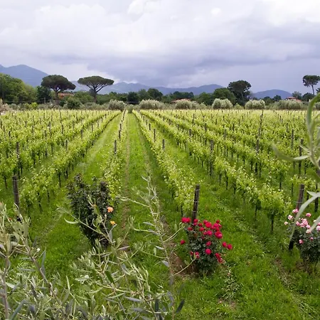 I Cacciagalli Wine Farmház
