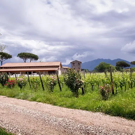 I Cacciagalli Wine Farmház Teano