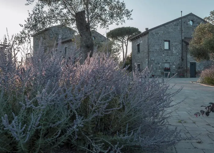I Cacciagalli Wine