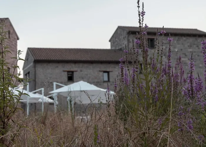 Vakantieboerderij I Cacciagalli Wine Teano