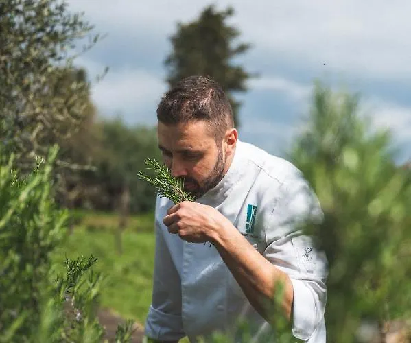 I Cacciagalli Wine Alojamento de Turismo Rural Teano